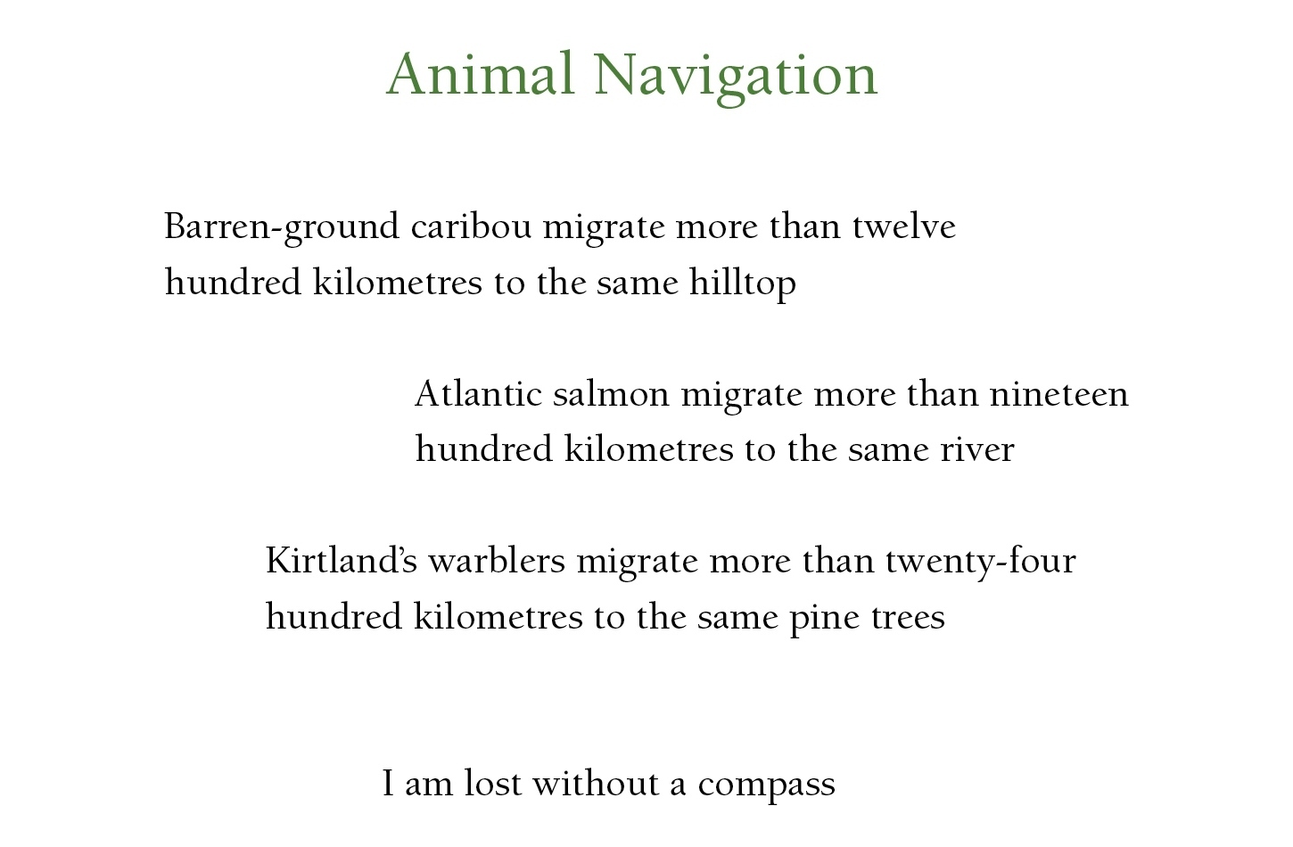 Animal Navigation