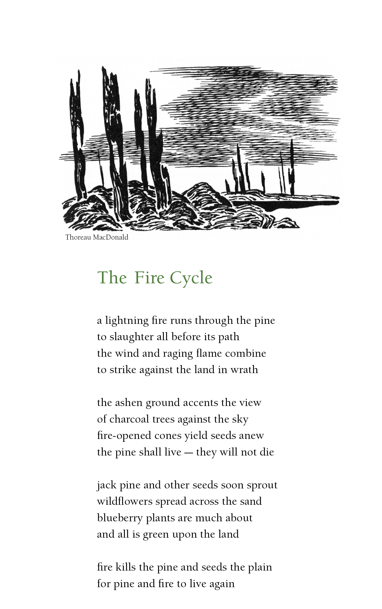 The Fire Cycle
